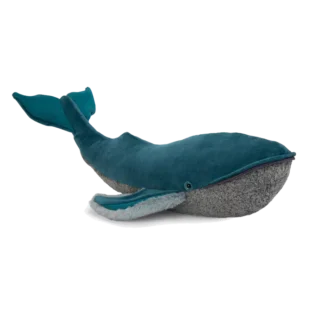 grande baleine à bosse